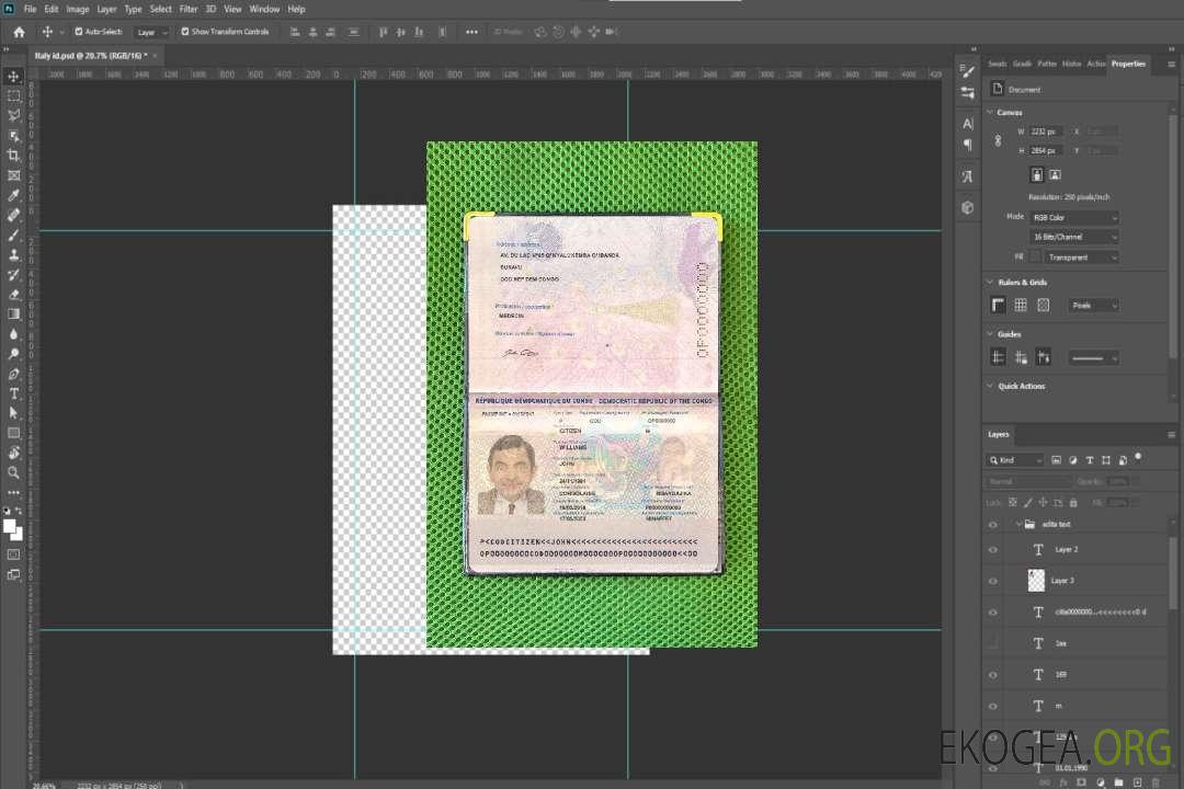 Aperçu photo du Congo Pass (2015-présent) template